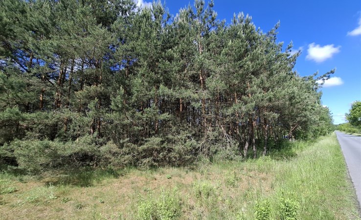 działka na sprzedaż - Janów, Złoty Potok